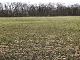 Property photo 33 - LAND AUCTION - 156.63+/- ACRES OFFERED IN 7 TRACTS IN ALLEN COUNTY, INDIANA